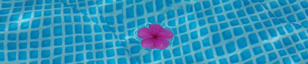 Header Image-Pool with floating pink flower